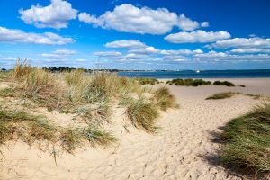 Studland - Shell Bay - find sandy beach in the foreground with blue ocean in the background on a sunny day