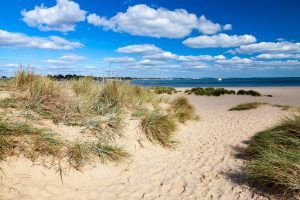 Studland - Shell Bay