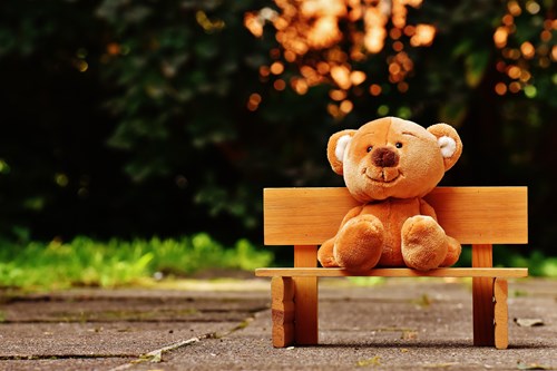 brown teddy on bench