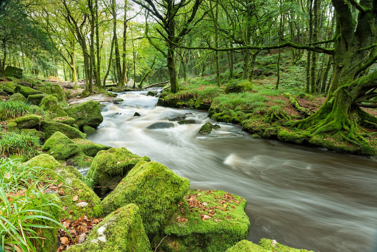 golitha-falls-image