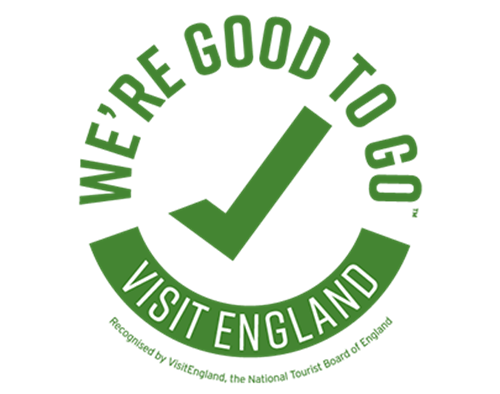 good to go logo