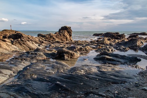 rock-pooling-at-hannafore-beach image