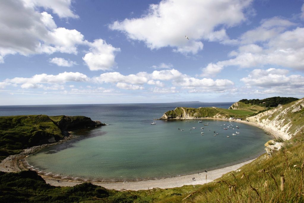 Sandy cove bordered by greenery