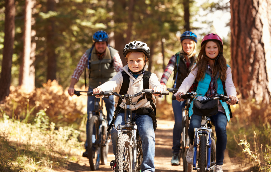 Family of four cycling through the forest on holiday